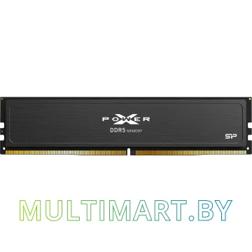 Оперативная память Silicon-Power Xpower Pulse 2x16GB DDR5 PC5-44800 (SP032GXLWU560FDJ)